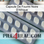 Africa Black Ant Capsule 07